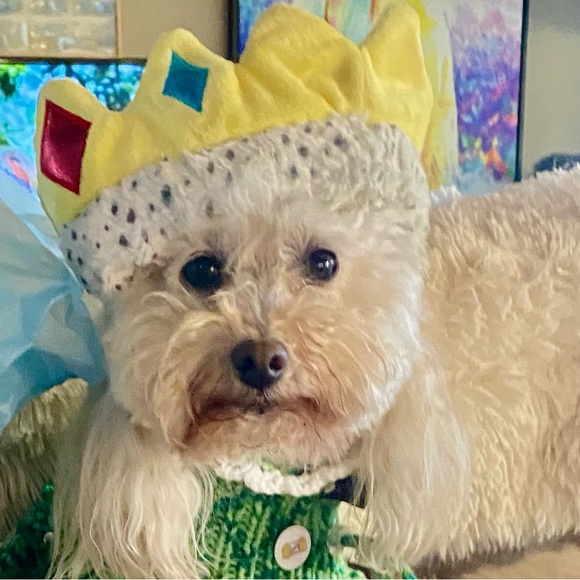 👜  Bijou’s Accessories!  🧳 - Picture 7 of 15